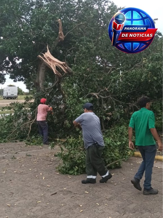 Imagen adicional