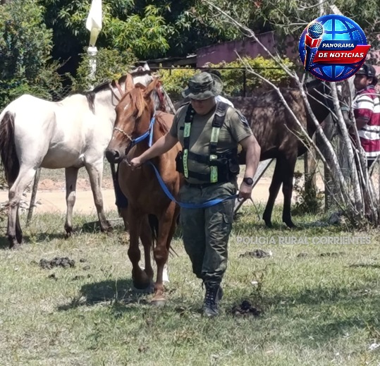 Imagen adicional