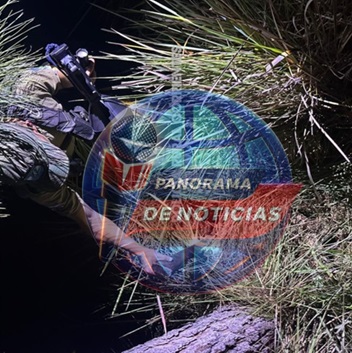 Imagen adicional